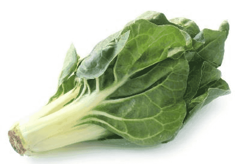 Acelga