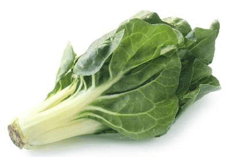 Acelga
