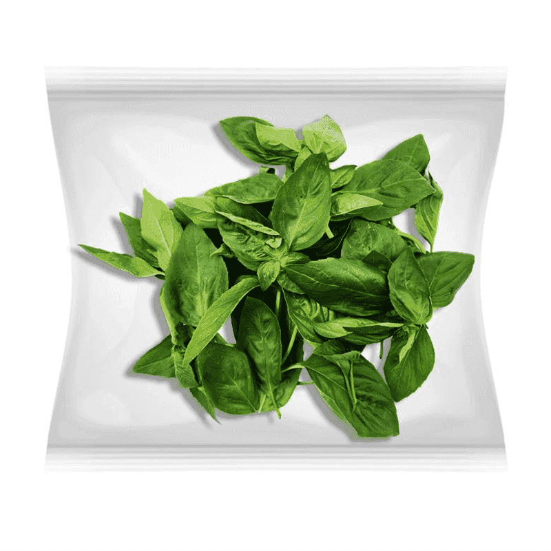 Albahaca