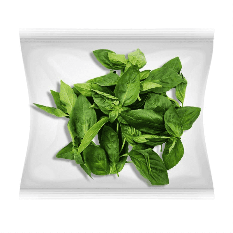 Albahaca