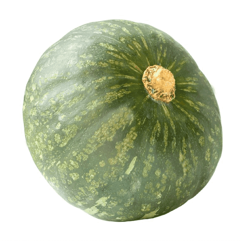 Ayote