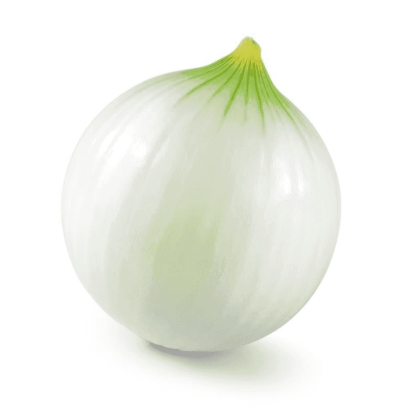 Cebolla blanca