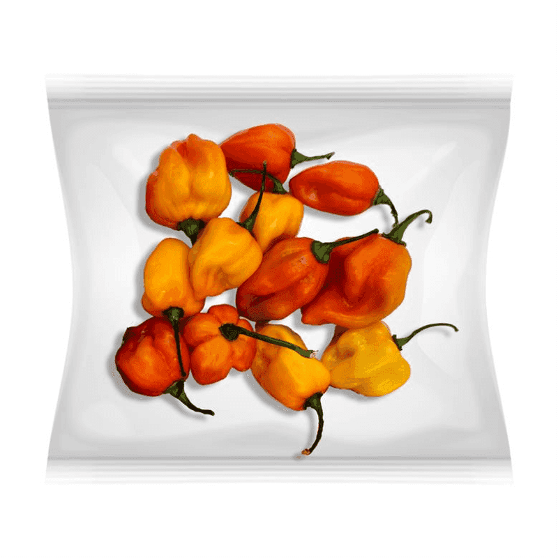 Chile habanero