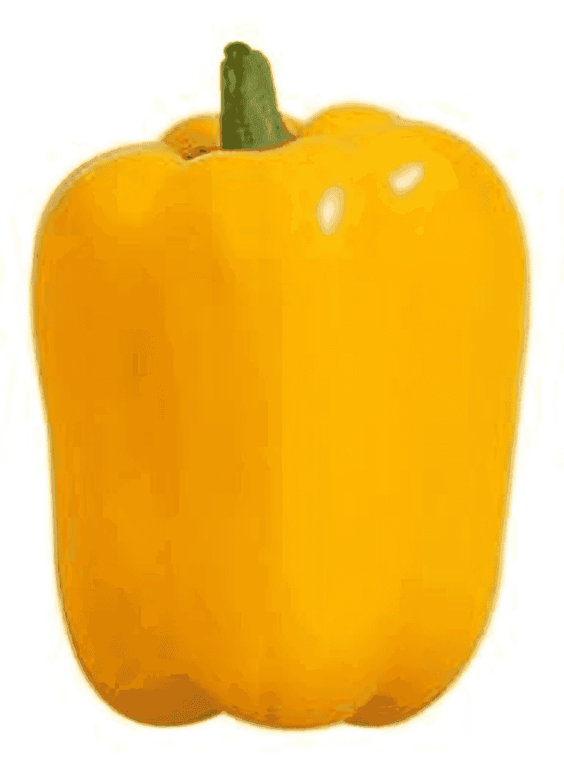 Chile morrón amarillo