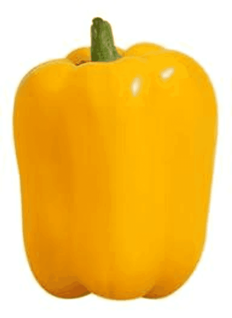 Chile morrón amarillo