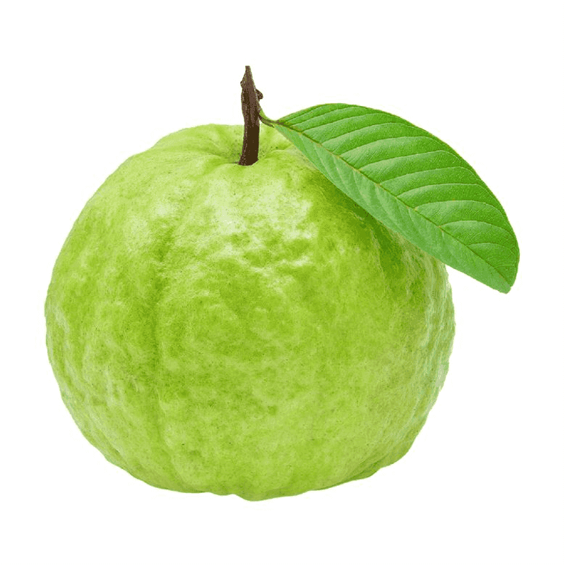 Guayaba china