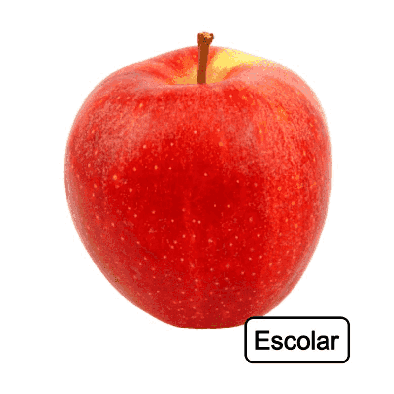 Manzana gala escolar