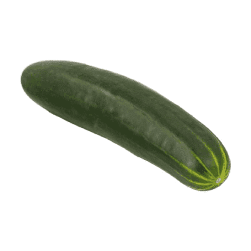 Pepino