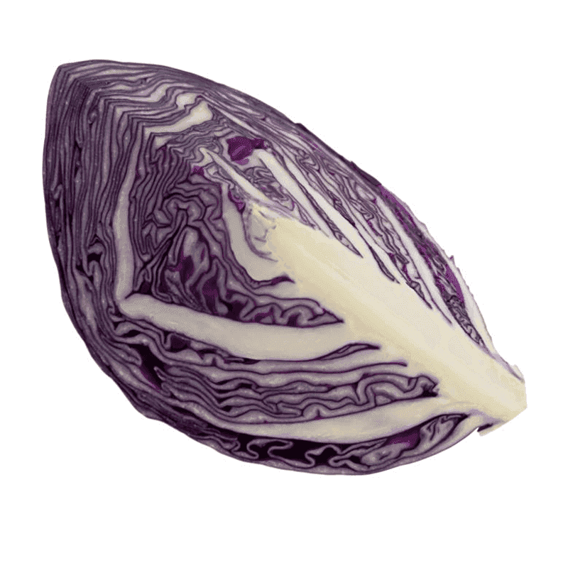 Repollo morado (cuarto)