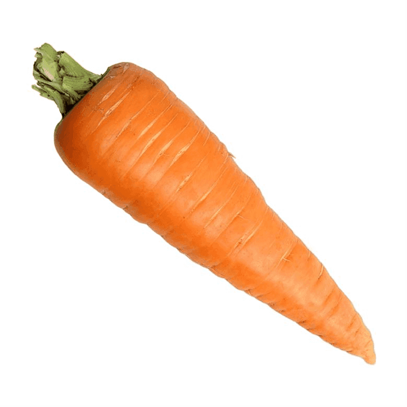 Zanahoria